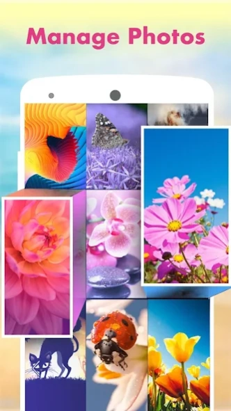 HD Panorama Camera 1.0 Screenshot