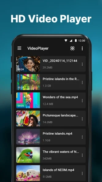 HD Video Player - Media Player 3.0.9 Screenshot