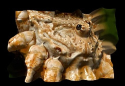 Helicon 3D Viewer 1.3.4 Screenshot