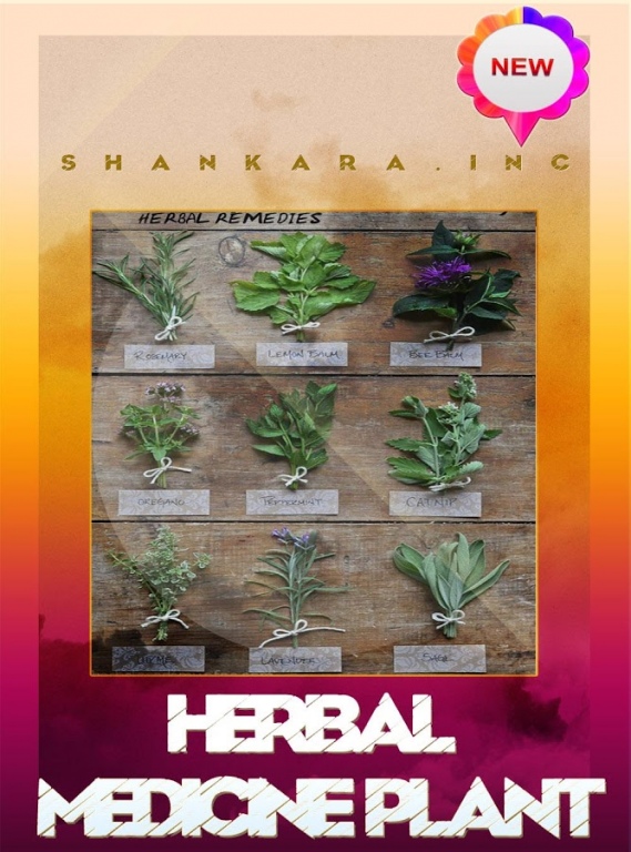 Herbal Medicine Plant 3.3 Screenshot