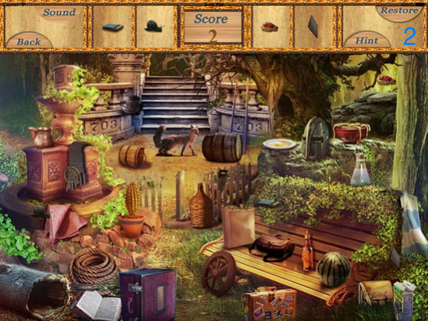 Hidden Objects An Unlimited Levels  Screenshot