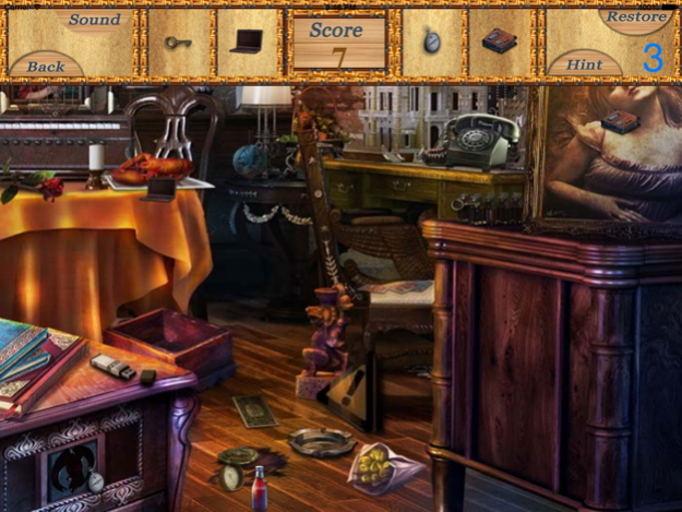 Hidden Objects An Unlimited Levels  Screenshot