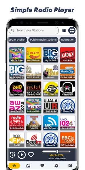 Hindi Fm Radios - Online Radio 36.0 Screenshot