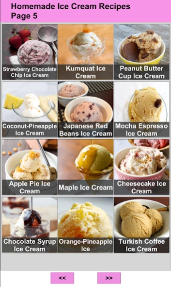 Homemade Ice Cream Recipes  Screenshot