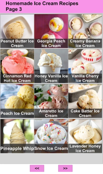 Homemade Ice Cream Recipes  Screenshot