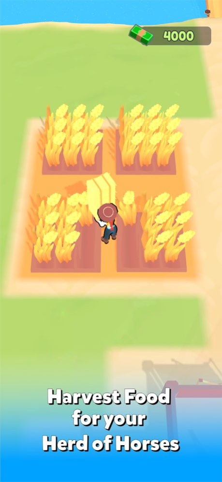 Horse Dreams: Ride & Race!  Screenshot