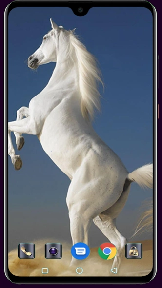 Horse Wallpaper 1.05 Screenshot