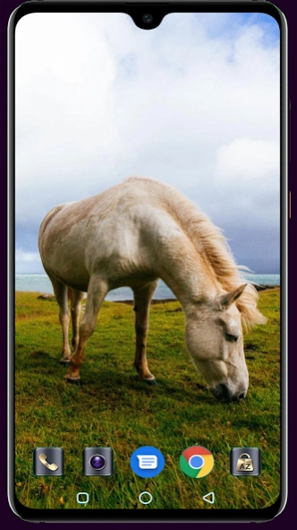 Horse Wallpaper 1.05 Screenshot