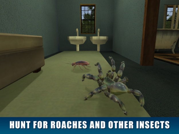 House Spider Survival Simulator 3D 1.0 Screenshot