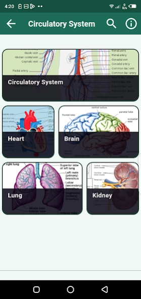 Human Anatomy and Physiology 2.0 Screenshot