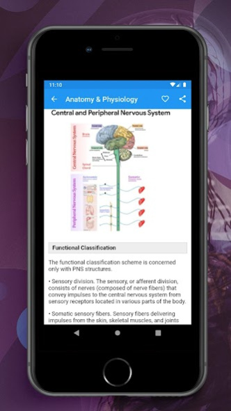 Human Anatomy & Physiology Boo 1.12.9 Screenshot