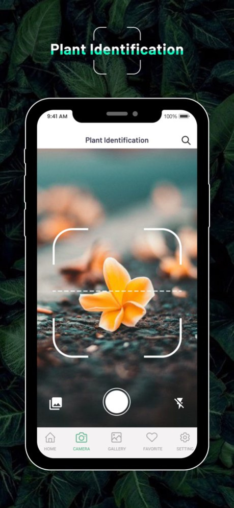 Identify Plant : Flower & Tree 1.2 Screenshot