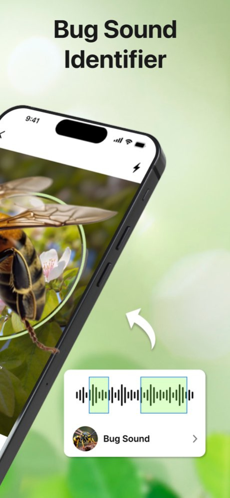 Bug Sound Identifier Insect ID 1.6.6 Screenshot