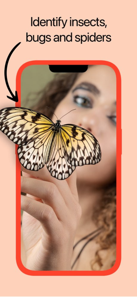 Insect Identifier: AI Scanner 1.1.1 Screenshot
