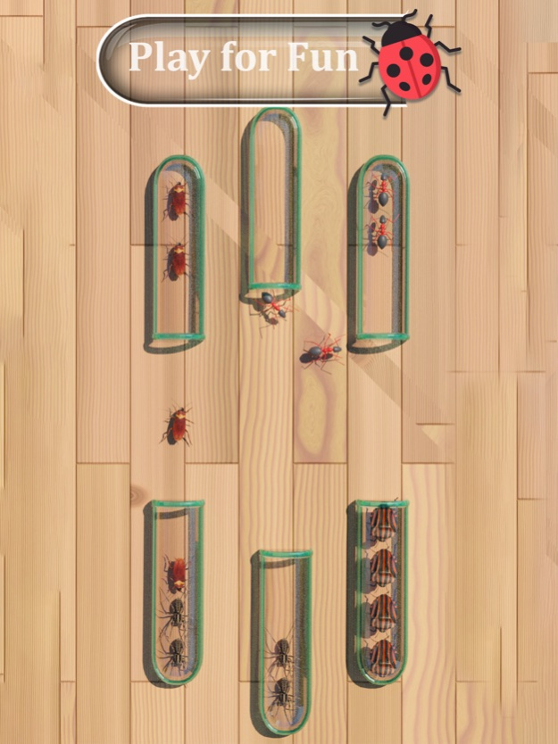 Insects Sort Puzzle Game 1.2 Screenshot