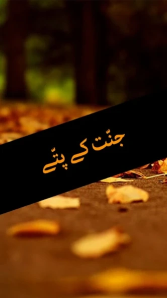 Jannat Ke Pattay by Nimrah Ahm  Screenshot