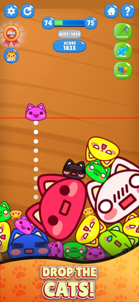 Jello Cats 2.3.1 Screenshot