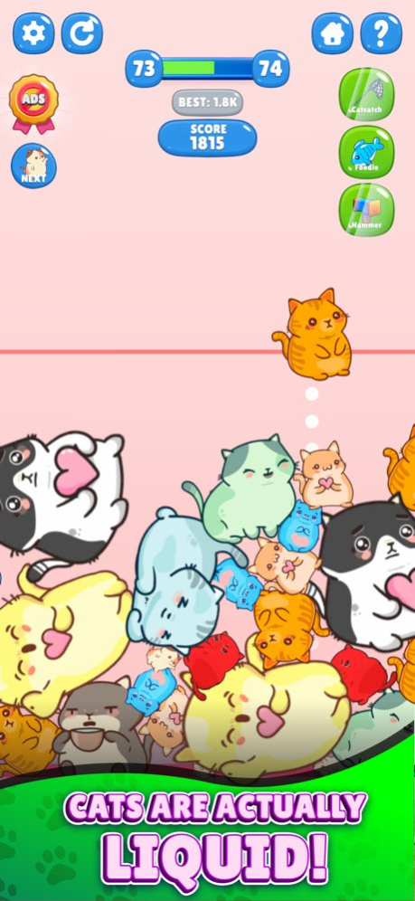 Jello Cats 2.3.1 Screenshot