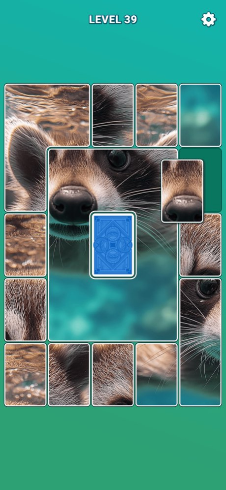 Jigsaw Match Solitaire Puzzles 1.0.4 Screenshot