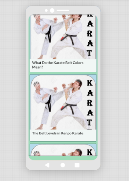 Karate training 1.9 Screenshot