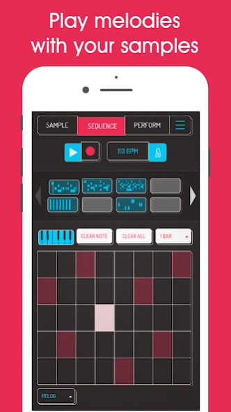 Koala Sampler 2.0.12 Screenshot
