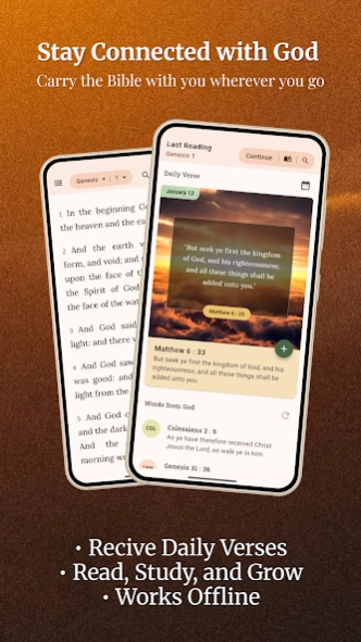 King James Bible (1611) 3.3.22 Screenshot