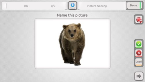 Language Trainer 4.0 Screenshot