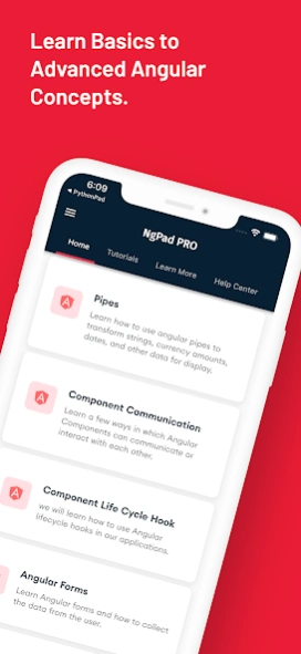 Learn Angular: AngularDev PRO  Screenshot