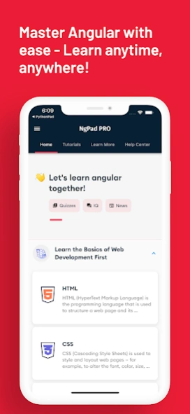 Learn Angular: AngularDev PRO  Screenshot