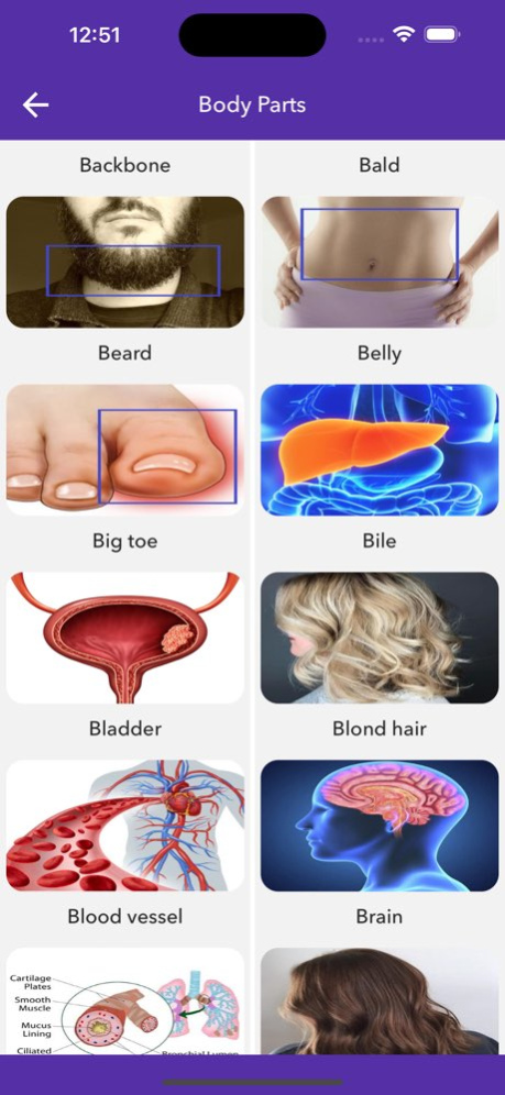 Visual English Dictionary 1.4 Screenshot