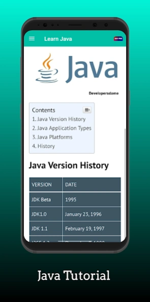 Learn Java Programming: Coding  Screenshot