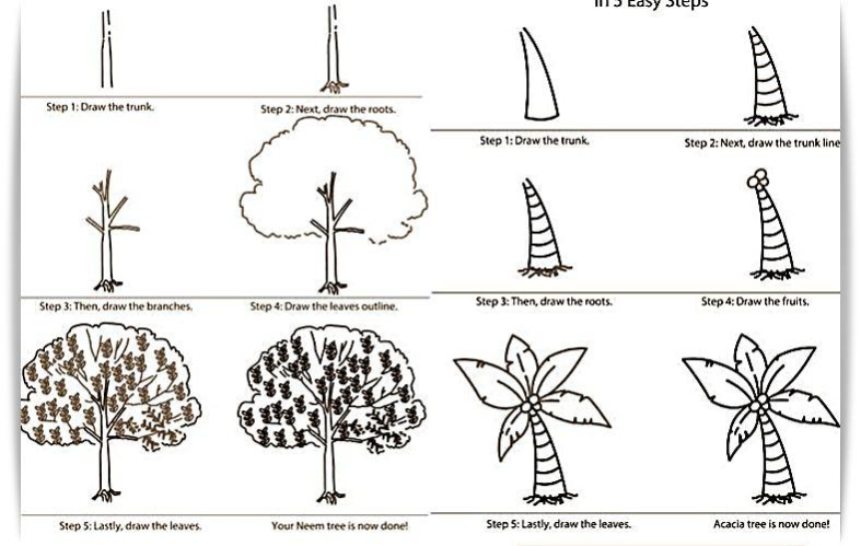 Learn to Draw Trees 2.0 Screenshot