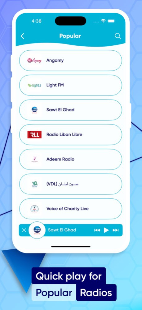Lebanon FM Radio Relax 1.1 Screenshot