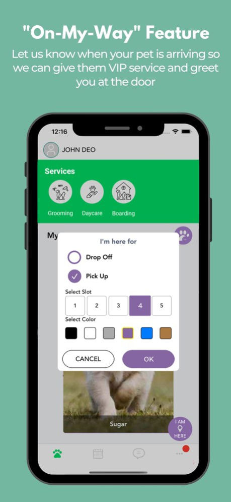 Let's Go Canine 2.9.52 Screenshot