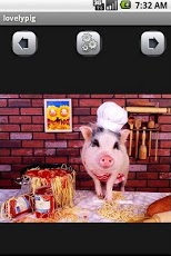 lovely pig Wallpaper 1.0 Screenshot