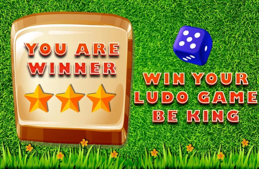 Ludo Game : Classic 1.6 Screenshot