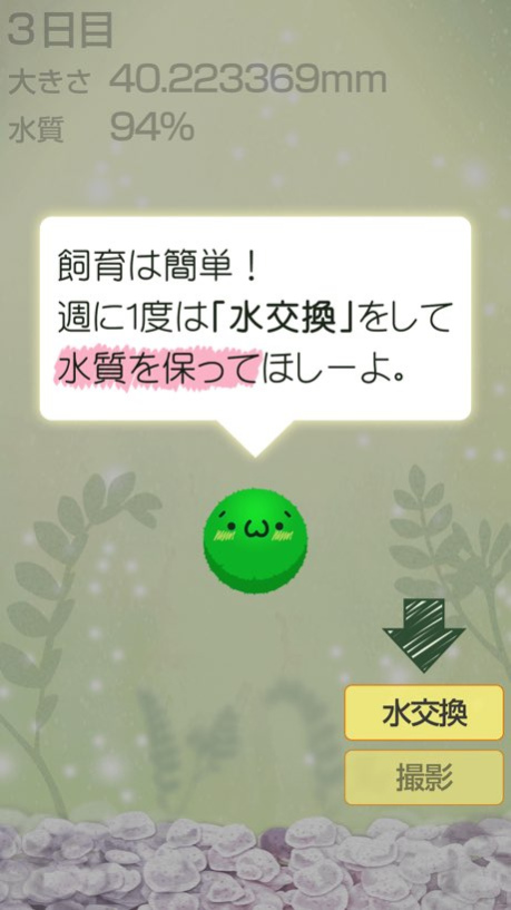 Marimo Game Free  Screenshot