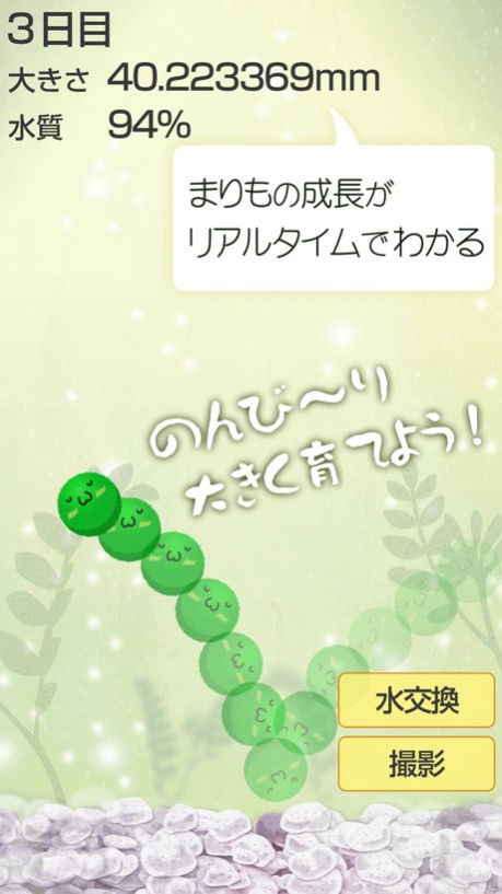 Marimo Game Free  Screenshot