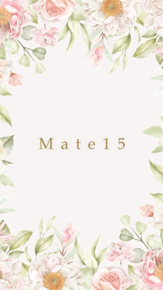 Mate15 1.20 Screenshot