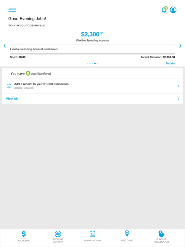 MBH Spending Account 24.11.00 Screenshot