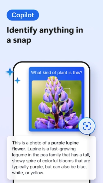 Microsoft Edge Dev 155.0.4283.25 Screenshot