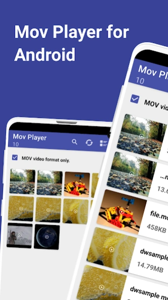 MOV Player 6.8 Screenshot