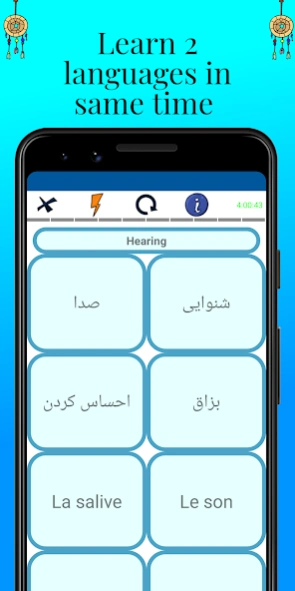 MTL Learn Persian Words  Screenshot