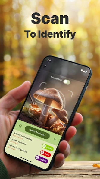 Mushroom Identification 4.0.8 Screenshot
