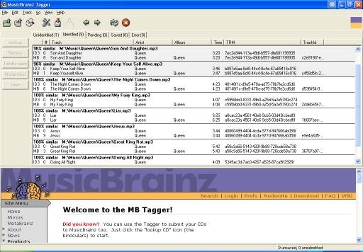 MusicBrainz Tagger 0.10.5 Screenshot