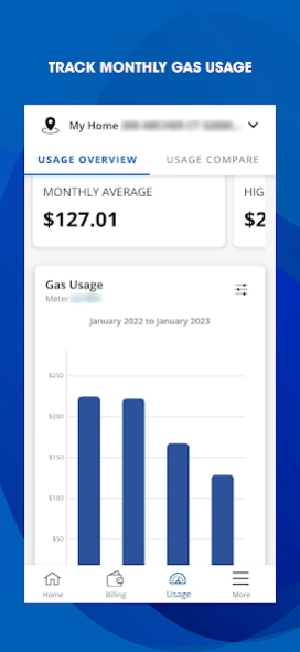 My Washington Gas 1.9 Screenshot