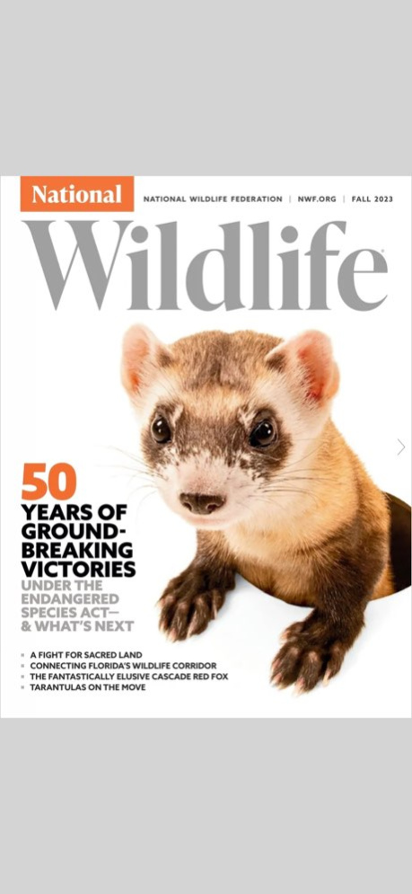 National Wildlife 7.1.2 Screenshot