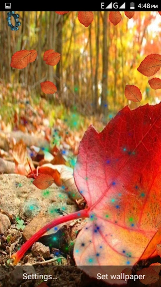 Orange Leaf Live Wallpaper 1.2 Screenshot