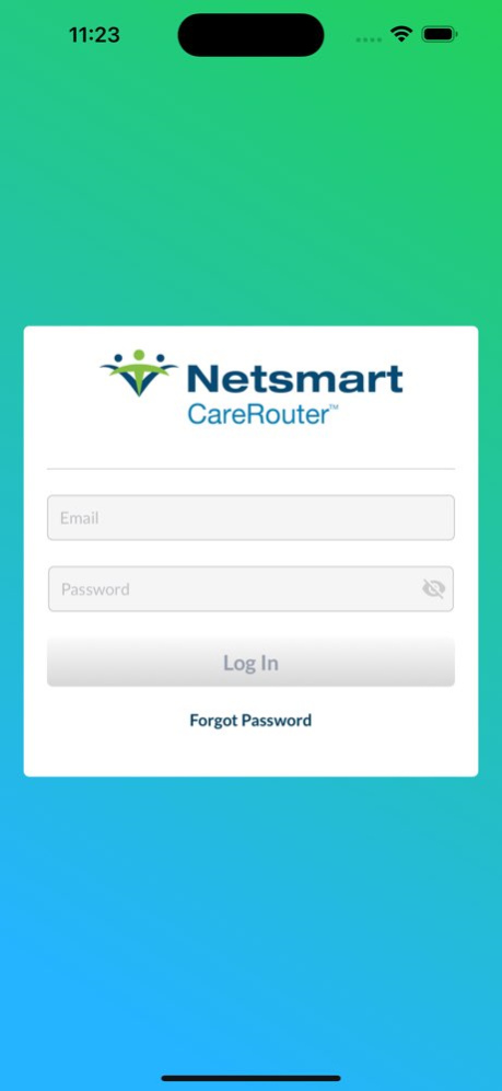 Netsmart CareRouter 5.1 Screenshot