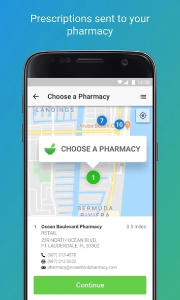 Netsmart Telehealth 12.19.00.005 Screenshot